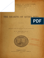 Bureau of Entomology - 1905 - The Rearing Queen Bees
