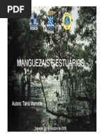 Manguezais e Estuarios