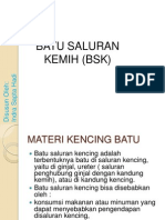 Batu Saluran Kemih