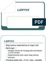 Larynx Pharynx