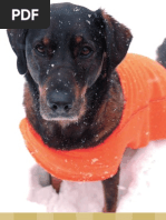 Download Sew What Fleece  Can You See Me Now Dog Vest by Storey Publishing SN24774552 doc pdf