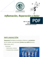 Inflamación, Reparación y Dolor