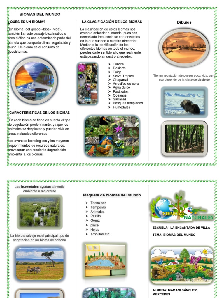 Triptico de Biomas Del Mundo PDF