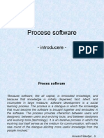 Proces Software