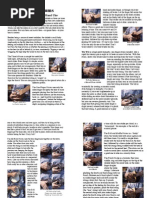 Download Ukulele - Ukulele Strumming by ventoimperio75 SN247787374 doc pdf