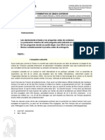 Modelo de Prueba - Ex 1 PDF