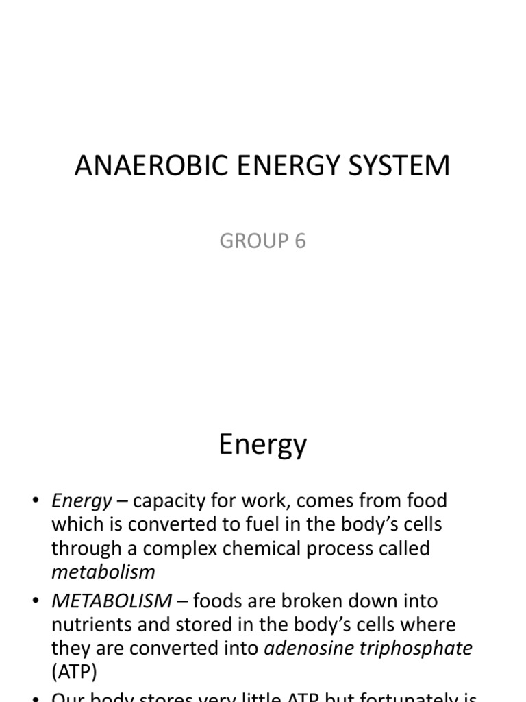 Anaerobic Energy System PDF
