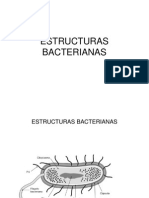 Estruct. Bacterianas