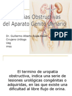 Uropatias Obstructivas