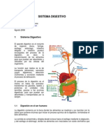 Sistema Digestivo