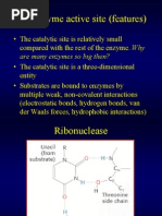 2 Enzymes & Enzyme Kinetics