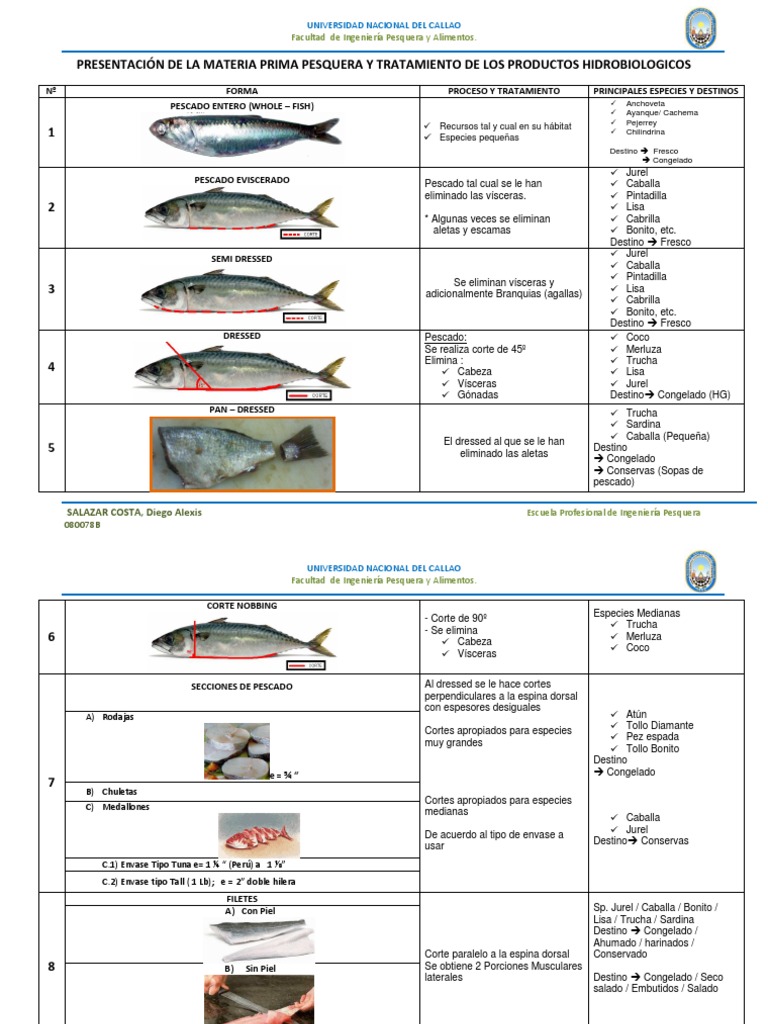 guia-de-cortes-de-pescado-pescado-como-alimento-at-n
