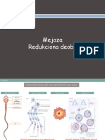 Mejoza Scribd