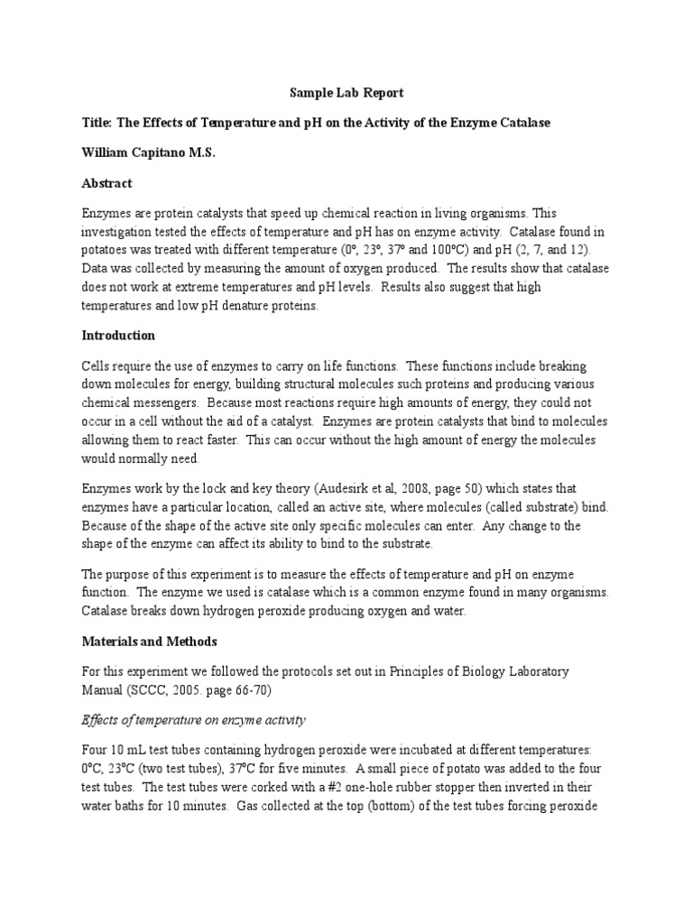 Bio 101 Sample Lab Report | Active Site | Enzyme