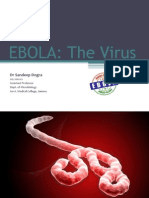 Ebola: The Virus