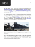 Tata Steel Report Submitted