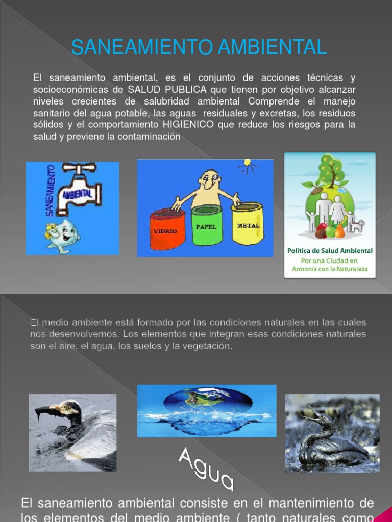 Saneamiento Ambiental PDF