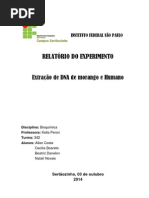 Extração do DNA Humano e do Morango