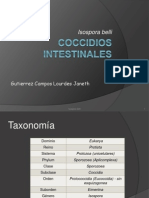 Coccidios Intestinales 