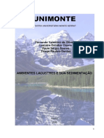 Ambientes Lacustres e sua Sedimentao (Projeto Modular 2 mdulo-2009)