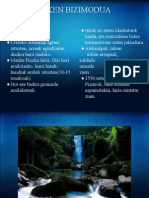 Inkak PDF