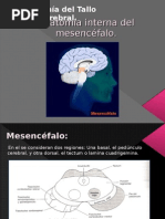 Download Anatoma interna del mesencfalo by PaolaLeos SN24786760 doc pdf