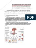 Endokrin PDF