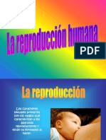 La Reproducción Humana 2