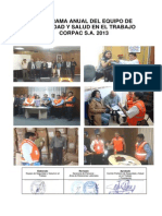 Programa Anual 2013 PDF