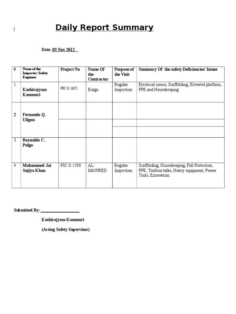 Daily Report | PDF