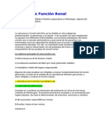 PRUEBAS+ESPECIALES+DE+FUNC+RENAL