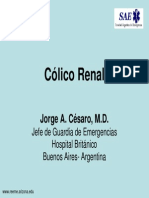 Colico Renal