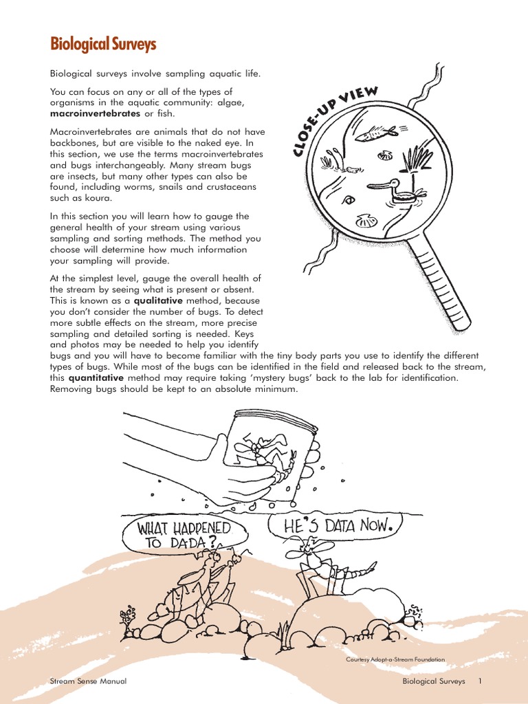 Stream Health Assessment Guide | PDF | Environmental Monitoring | Organisms