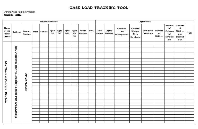 Case Load Tracking Tool for Pamilyang Pilipino | PDF