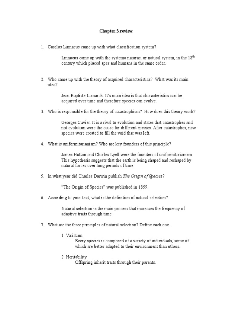 Human evolution essay picture