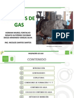 Hidratos de Gas Gpsa