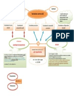 Societatea Comercială: Contract Persoana Juridică