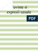 Expresii Uzuale Eng-Rom