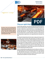 Báo cáo cập nhật ngành thép - 2013 PDF