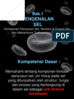 Pengenalan SEL: Komponen Penyusun Sel, Struktur & Fungsi Sel, Dan Mekanisme Transportasi Pada Sel