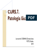 Curs 6. Patologia Lauzei PDF
