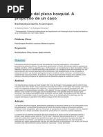Download Lesiones Del Plexo Braquial by Ninia Resident SN247955948 doc pdf