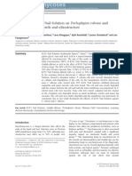 The Effect of K101 Nail Solution on Trichophyton Rubrum and Candida Albicans Growth and Ultrastructure