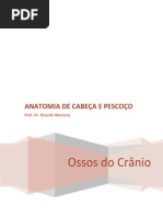 Ossos Do Crânio