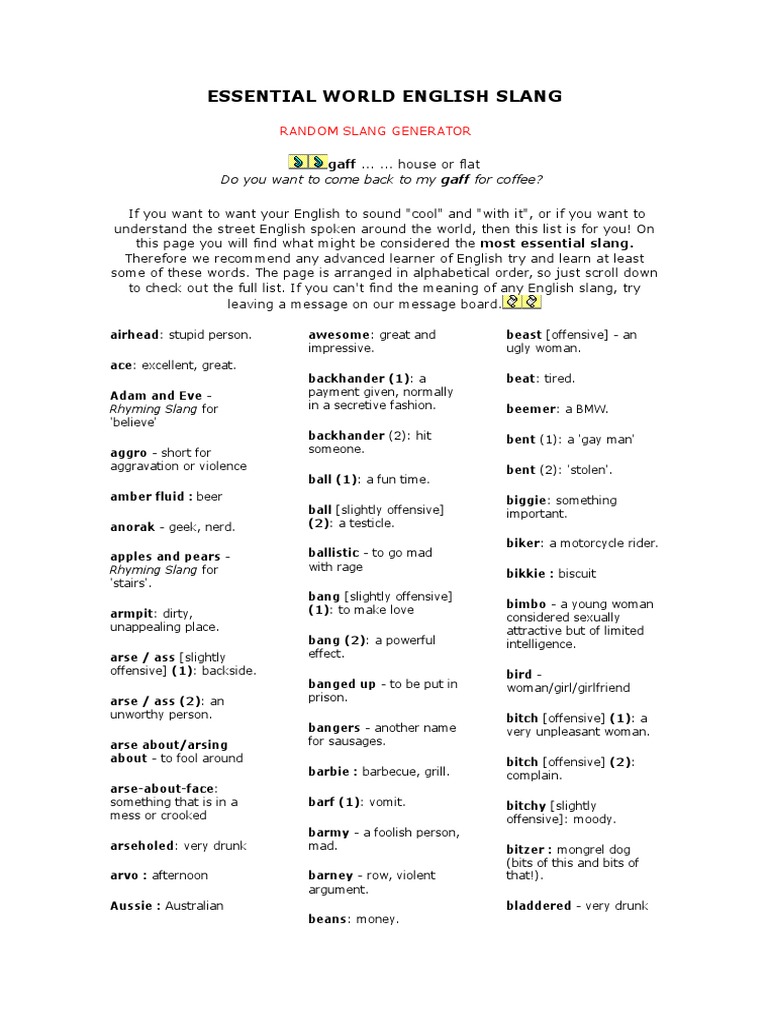Essential English Slang Guide | PDF