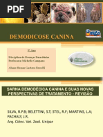 Demodicose Canina