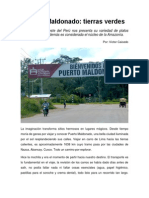 Crónica Puerto Maldonado: Tierras Verdes