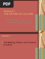 Download Society - Culture by Jesse SN24798407 doc pdf