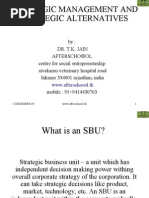 Download Strategic Management and Strategic Alternatives by KNOWLEDGE CREATORS  SN24798901 doc pdf