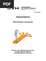 Resumen Movimientos y Acciones